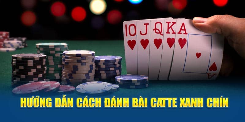 Nắm Trọn Những Cách Đánh Bài Catte Dành Cho Newbie 3 huong-dan-cach-danh-bai-catte-xanh-chin