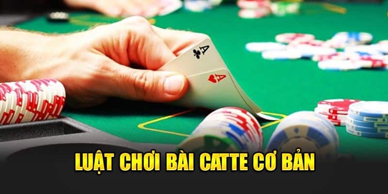 Luật Đánh Bài Catte: Hướng Dẫn Chi Tiết và Quy Tắc Cơ Bản 3 luat-choi-bai-catte-co-ban