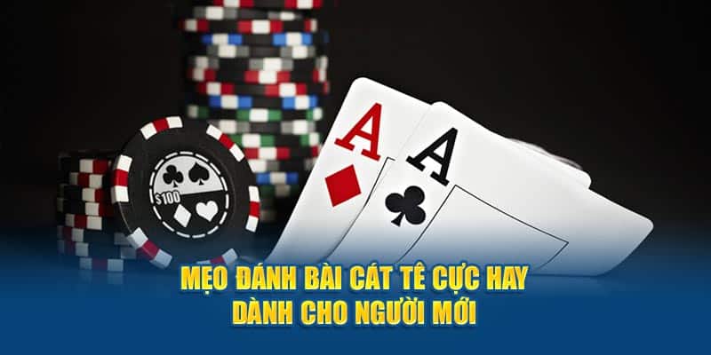 Nắm Trọn Những Cách Đánh Bài Catte Dành Cho Newbie 4 meo-danh-bai-cat-te-cuc-hay-danh-cho-nguoi-moi